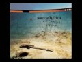 Meant To Live (Switchfoot) --with lyrics 