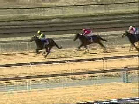 vaal thurs 03 08 2010 race1 jackrock