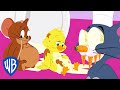 Tom Jerry Food Adventures WB Kids