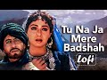 Tu Na Ja Mere Badshah Lofi Mix Sridevi Amitabh Bachchan Alka Yagnik Mohammad Aziz Lofi Song