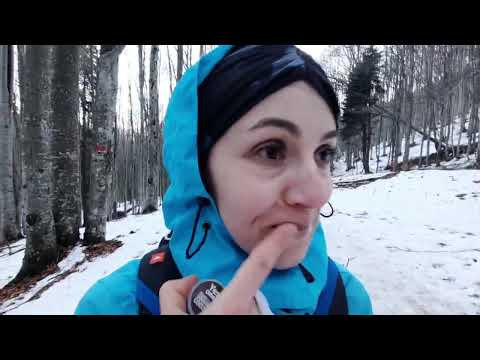 Cab. DIHAM 1320 m - (vazut URSUL) - saua BAIULUI 1354 m - cab. GURA DIHAM 990 m