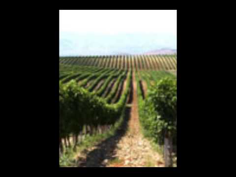 Sreburnite Grivni - Zarezan - 1970.