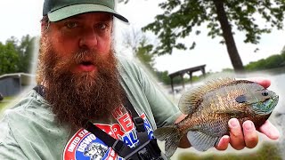 TRY THIS RIG When The Fish Won't Bite (Even Fishing In The RAIN)