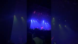 Mikado  coco freestyle