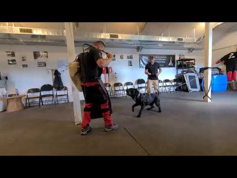 Drive Transitions with a BLACK PRESA - How to protection training