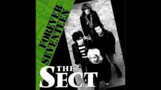 The Sect  "In The Basement"  No.667
