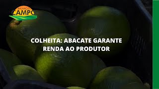 Miniatura do vídeo