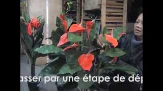 preview picture of video 'Le dépliage des plantes artificielles - L'Été Indien (37)'