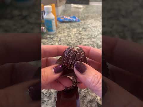 ASMR🌈FERRERO Rondnoir #shorts #Satisfyingsounds #asmr #chocolate