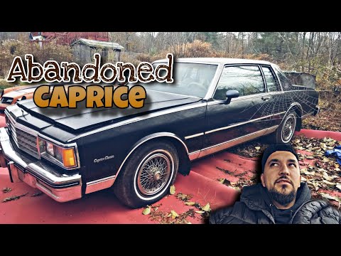 We take delivery of a 1984 Caprice Landau that was abandoned in Maine