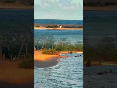 📌 Ponta dos Mangues, Pacatuba. Litoral Norte de Sergipe 🫶🏼.