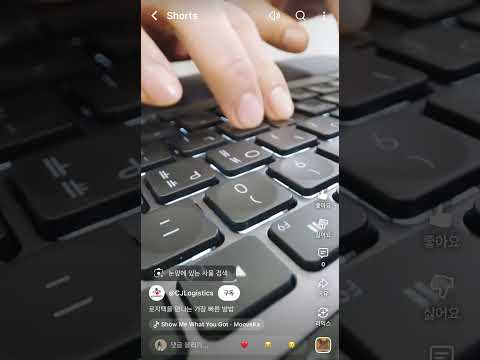 비디오 11