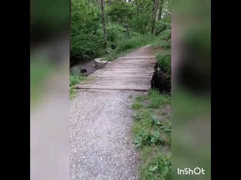 Gott hat für dich einen Weg I Antje Langer