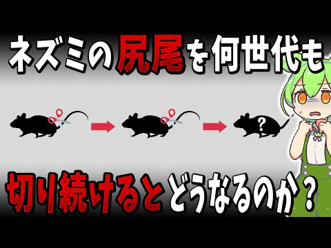 ラマルクの洗礼者ヨハネ