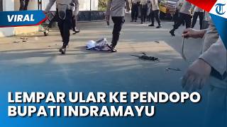 LEMPAR ULAR KE PENDOPO BUPATI! Demonstran Kecewa Gagal Temui Bupati Indramayu Lucky Hakim