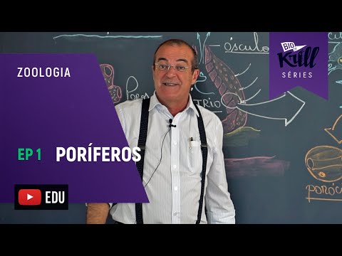 PORÍFEROS (Zoologia - EP1) | Biokrill Series
