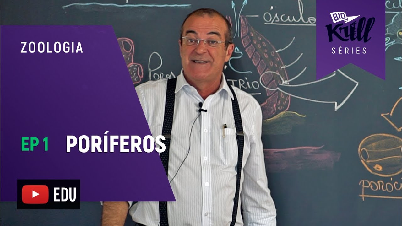 PORÍFEROS (Zoologia - EP1) | Biokrill Series