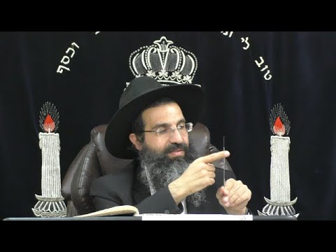הלכות שחיטה - ד' - בהמה סכין וברכה 🔪 יורה דעה - סימן טז - יט | חלק 4 | הרב שי עובד