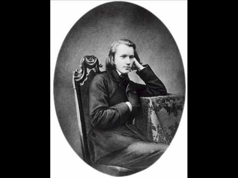 Doctor & Miss Heisenberg -- Brahms Violin Sonata no. 2 A major op.100 (mov. 1)