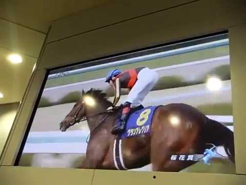 グランアレグリア一冠達成！2019年４月７日阪神G１「桜花賞」「グランアレグリア」