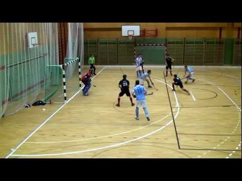 SVA-AHTC Highlights der Arminen