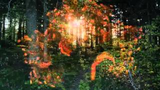 Dark Elektro Neuropunk (Dj Refizul) - Perdurabo Excision Remix