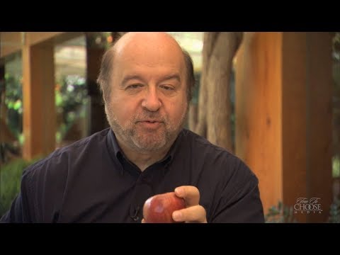 Hernando de Soto on Globalization