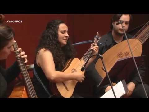 AUGELLIN - Stefano Landi