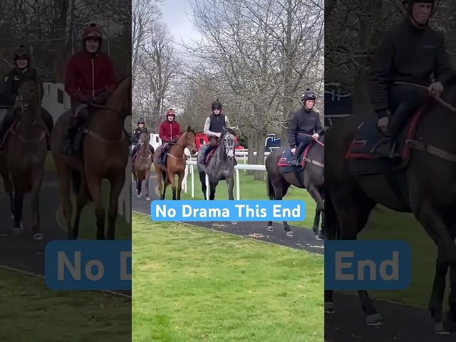 Thumbnail for Post ID: QJsClN8v-NY