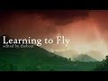 Beautiful Boxer - Learning to Fly