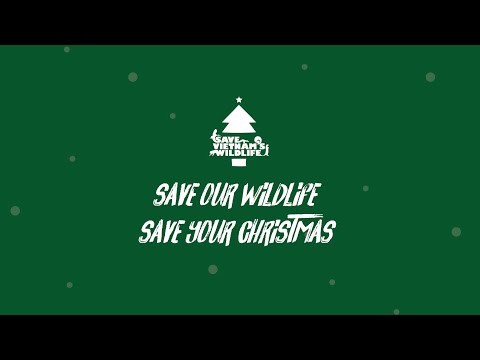 Save Our Wildlife - Save Your Christmas