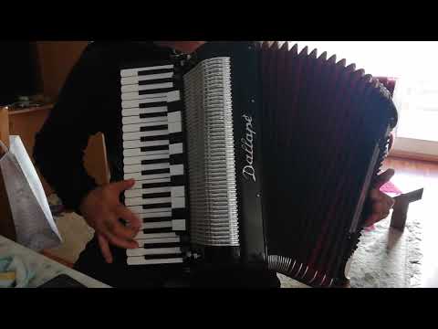 DALLAPE ORGANTONE 3+1 120 BASOVA PROBA (DOMAĆA iZRADA)