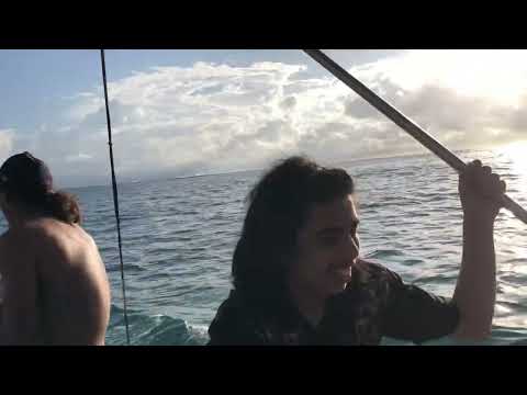 imafoundation.com Presents Private Fishing Trip in Tulum Saturday 22012022 DAY 2