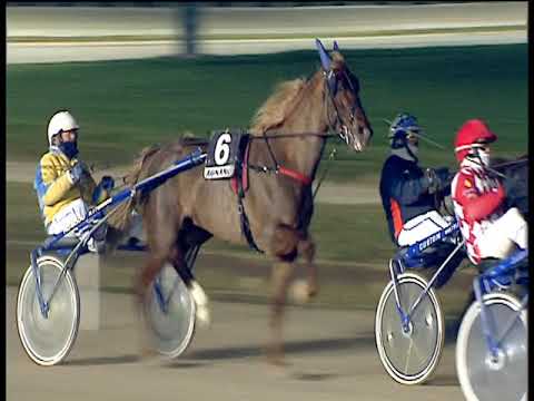 Trotto 11/12/2018 - 7ª corsa