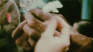 The Bay - PJ Harvey (Video)