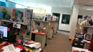 Ami is scared of ducks!