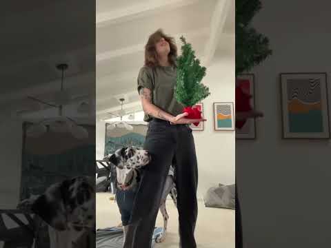 DONT LAUGH AT MY TREE 🎄🎅🍑 w OnlyJayus - #Shorts