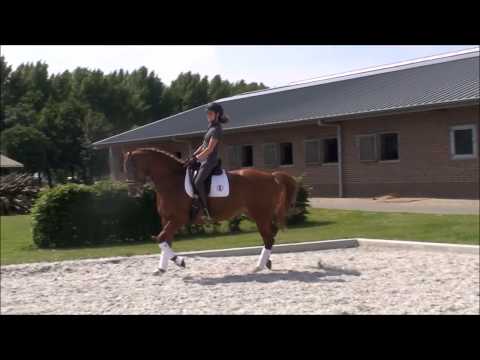 Guilietta Uphill x Welcome