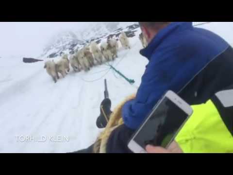 #2 VerSumHeima - Tórhild Klein