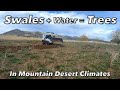 Swale + Water = Trees / How swales are built in high elevation mountain desert climate.
