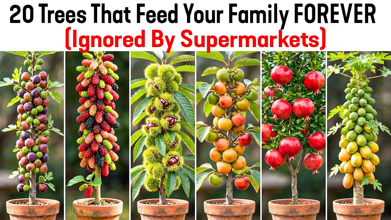 20 Trees That Feed Your Family FOREVER (Ignored By Supermarkets)