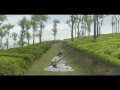Taj Mahal A Flavour Of Darjeeling