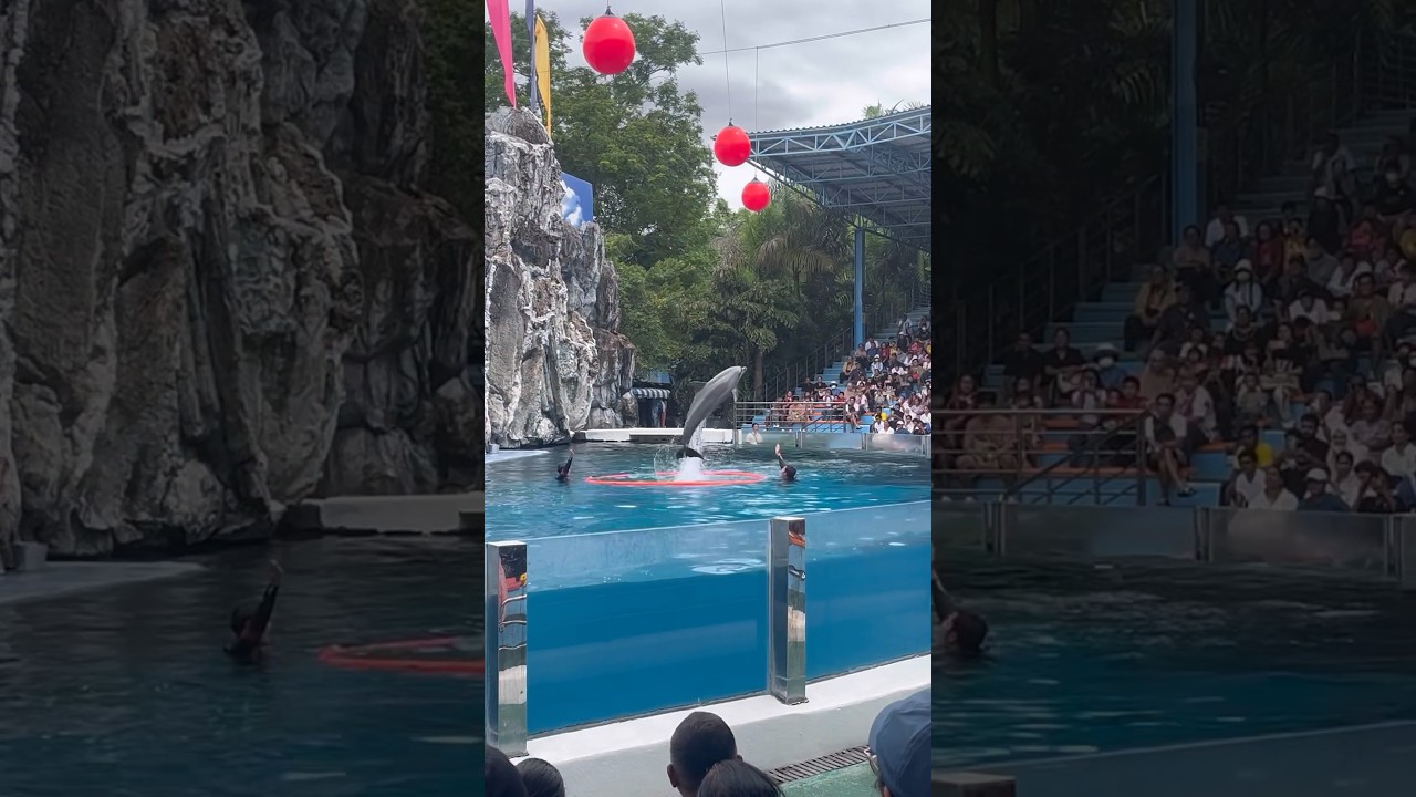 YouTube Short thumbnail