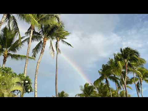 [HAWAIIAN RELAXING MUSIC] 20 Minutes Of Hawaiian Relaxing music!! Clams And Relaxes The Mind