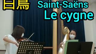 Download lagu サン=サーンス(Saint-Saëns)『白鳥(Le cygne)』ヴァイオリンとハープのコンサートリハーサル風景 mp3 Download lagu サン=サーンス(Saint-Saëns)『白鳥(Le cygne)』ヴァイオリンとハープのコンサートリハーサル風景 mp3