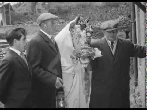 Mari Lwyd - Noswyl Nadolig - 1964