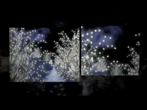 Happy Winter Wonderland Holidays!