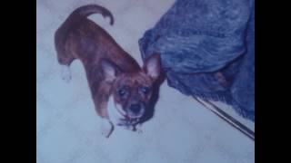 Kenny Memorial. Final Tribute!!!!!