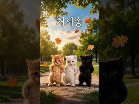 처서가왔다잖아🍂 #처서송 #모기입돌아갔잖아 #shorts #cat