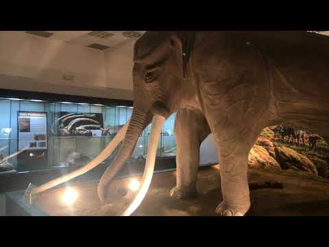 Il Museo archeologico Toleriense riscrive la storia di Colleferro